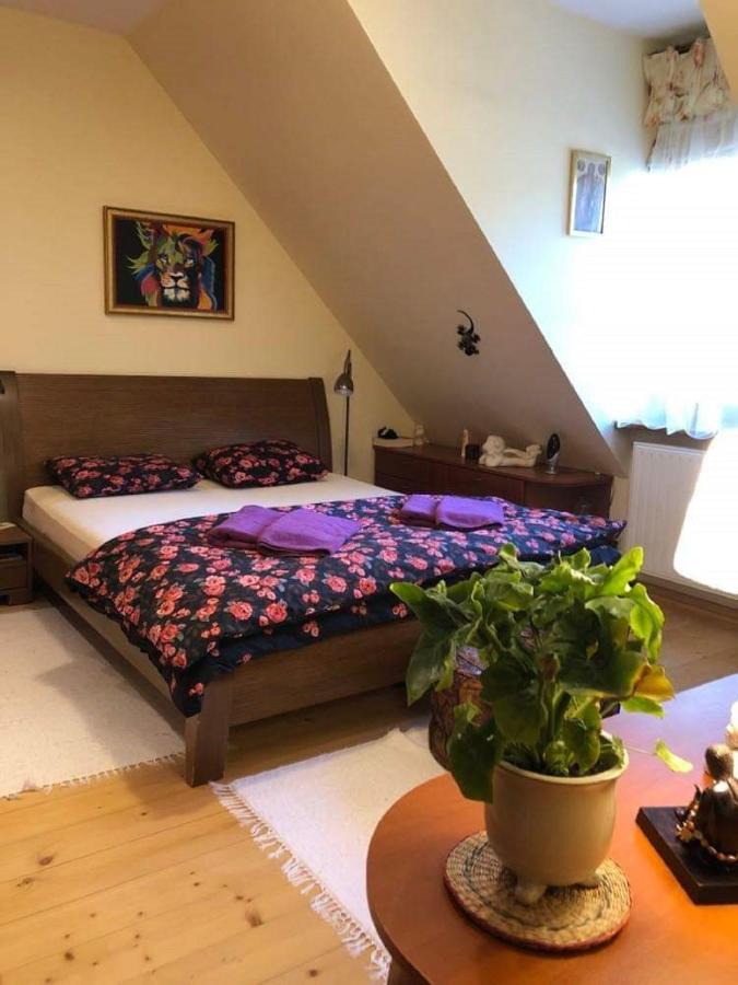 Willa Nad Popradem Bed and Breakfast Piwniczna-Zdroj Buitenkant foto