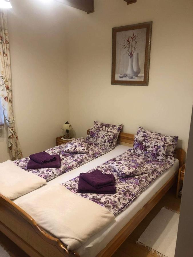 Willa Nad Popradem Bed and Breakfast Piwniczna-Zdroj Buitenkant foto