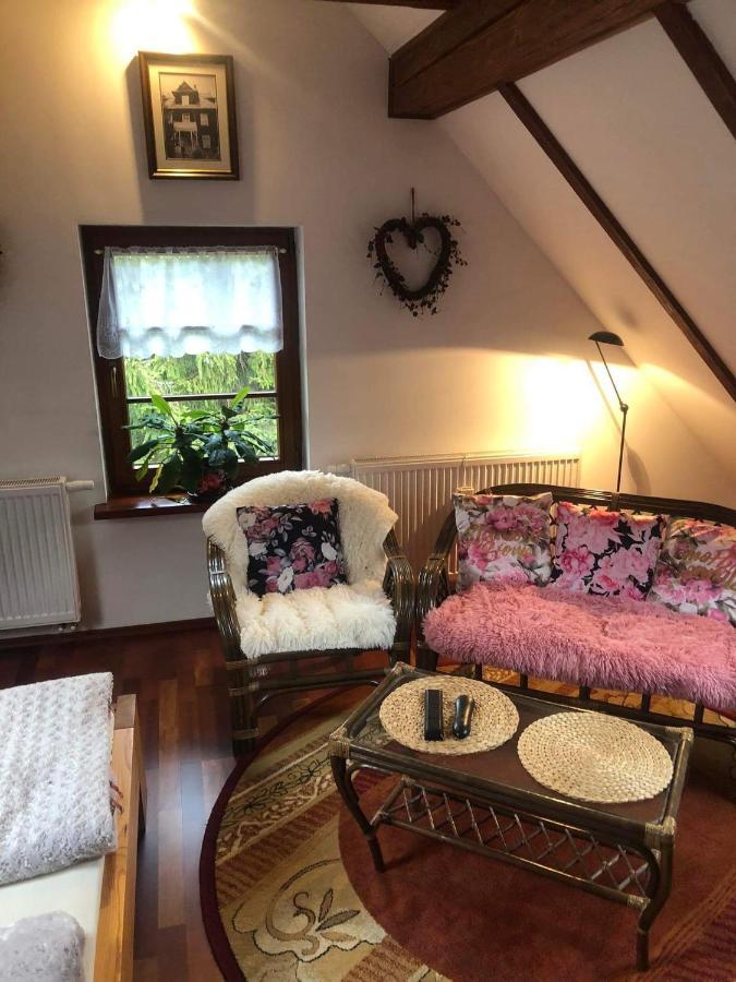 Willa Nad Popradem Bed and Breakfast Piwniczna-Zdroj Buitenkant foto