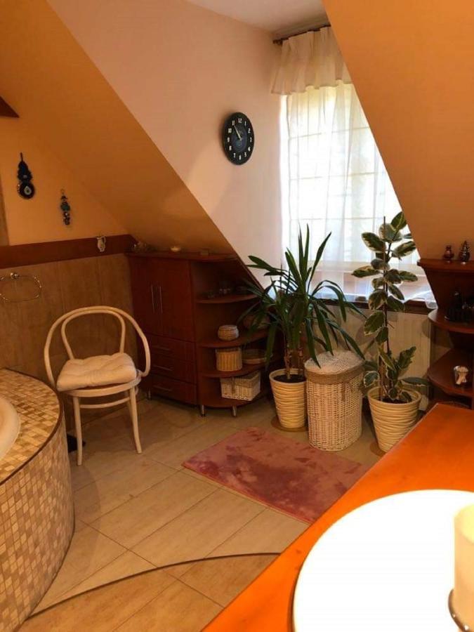 Willa Nad Popradem Bed and Breakfast Piwniczna-Zdroj Buitenkant foto