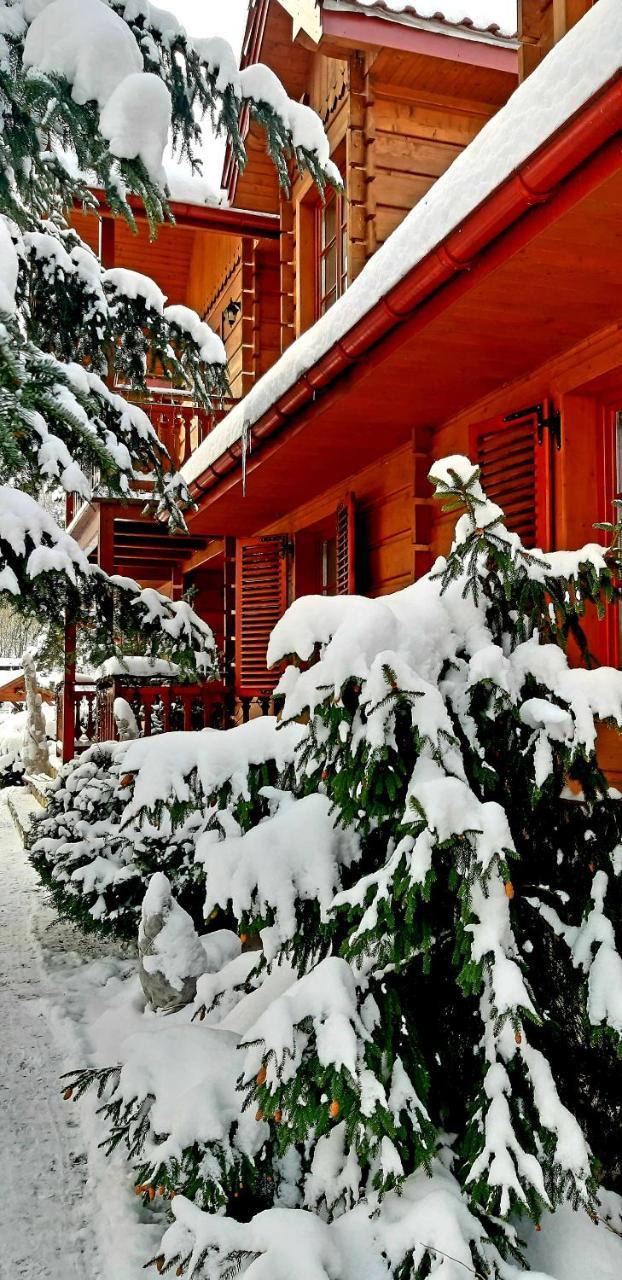 Willa Nad Popradem Bed and Breakfast Piwniczna-Zdroj Buitenkant foto